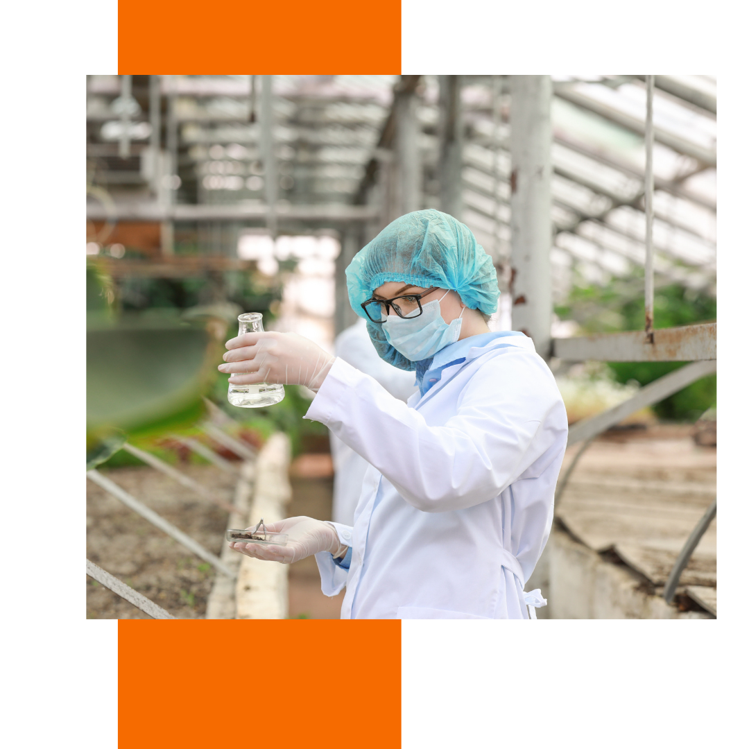 Beneficios de la Beca Guillermina